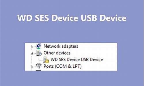 _wd usb device驱动